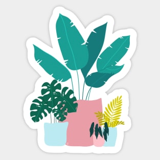 Tropical Houseplants Sticker